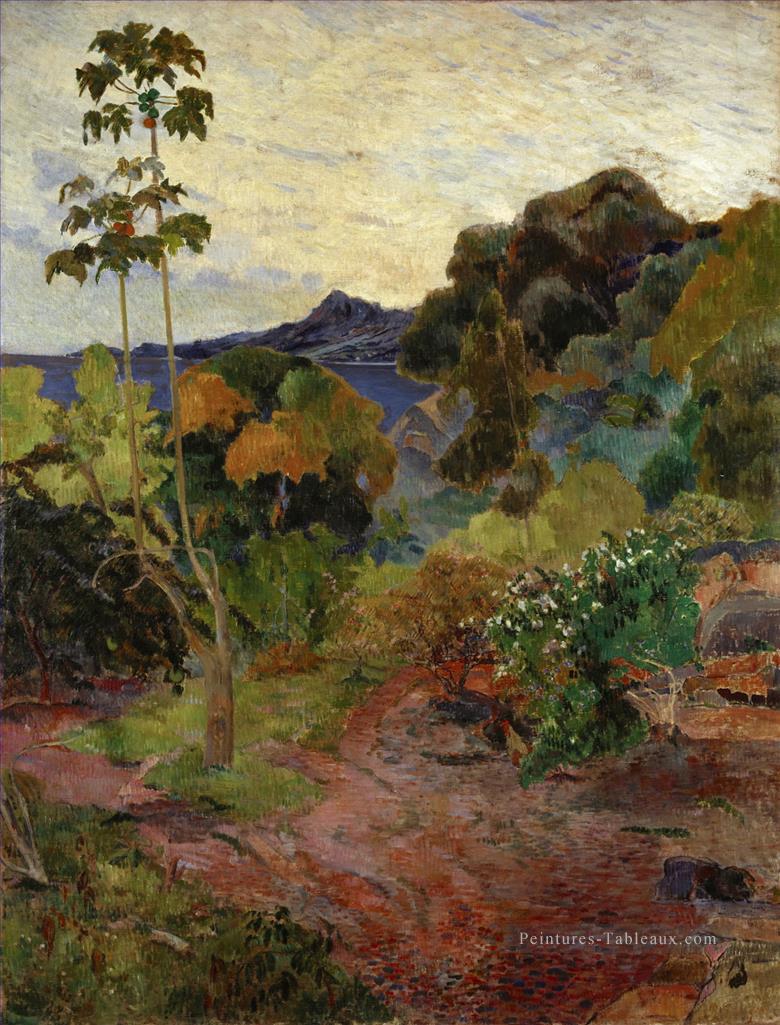 Paysage martiniquais Paul Gauguin Peintures à l'huile